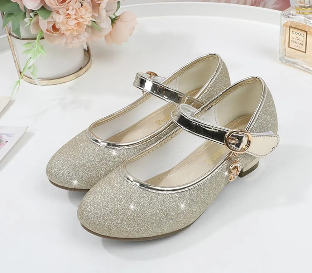 Girls Heels Dress Shoes Mary Jane Pumps Low Heel Princess Flower Wedding Party