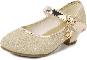 Girls Heels Dress Shoes Mary Jane Pumps Low Heel Princess Flower Wedding Party