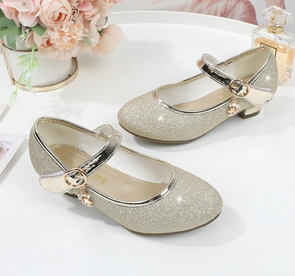 Girls Heels Dress Shoes Mary Jane Pumps Low Heel Princess Flower Wedding Party